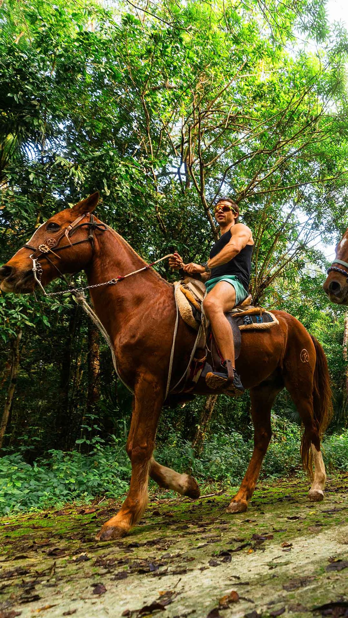 Paseos a caballo + ATV — 1