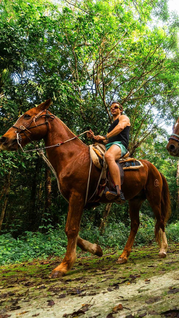 Horseback Riding + ATV