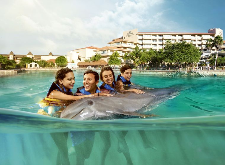Dolphin Encounter Puerto Aventuras