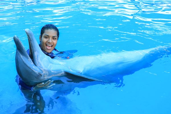 Dolphin Emotions + Parque Acuático: delfines y aventura en Vallarta — 3