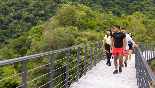 River Park Puerto Vallarta: mirador de cristal y puente colgante — 5