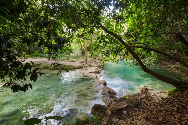 Cascadas Agua Azul, Misol-Há y Zona Arqueológica de Palenque — 3