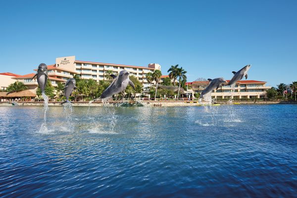 Dolphin Encounter Puerto Aventuras — 3