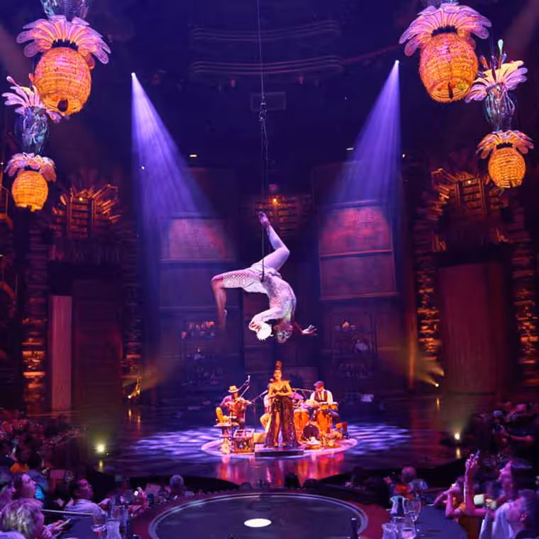 Cirque du Soleil JOYÀ