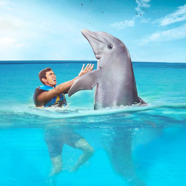 Cozumel: Dolphin Connection — delfines, esnórquel y playa — 2