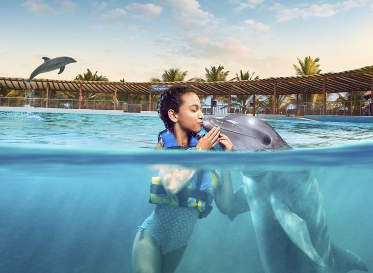 Playa del Carmen Maroma - Dolphin Connection: swim with dolphins