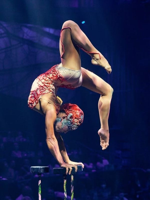 Cirque du Soleil JOYÀ — 3