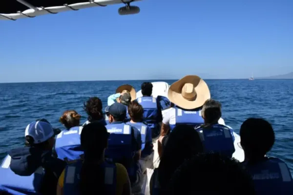 Los Veranos Canopy and Adventure Park: Avistamiento de ballenas en Vallarta — 5