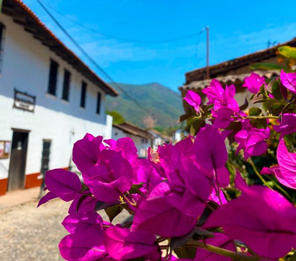 Los Veranos Canopy: Tour a San Sebastián del Oeste — 2