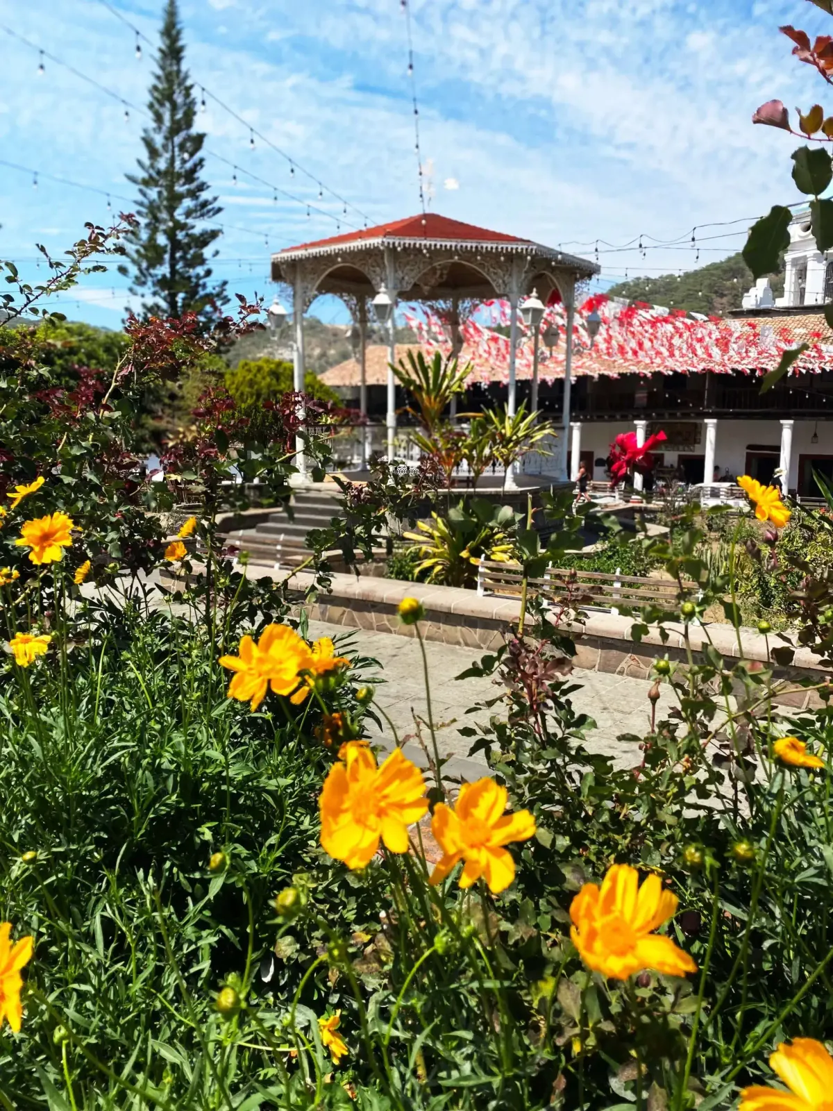 Los Veranos Canopy: Tour a San Sebastián del Oeste — 1