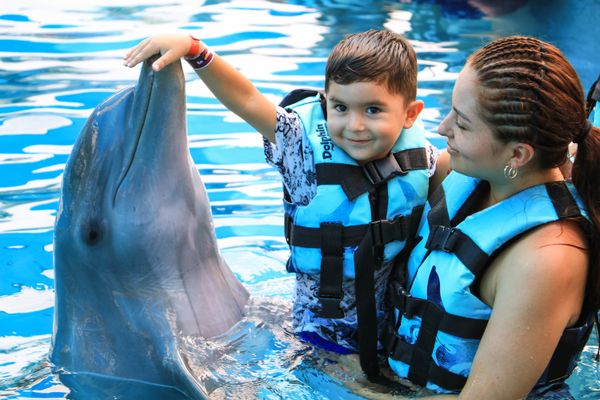 Encuentro con Delfines + Parque Acuático en Puerto Vallarta — 2