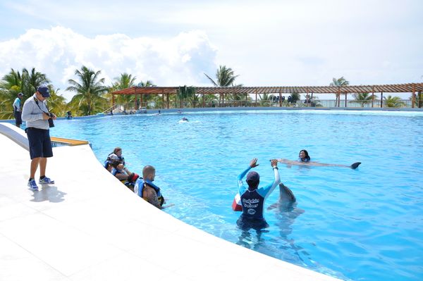 Playa del Carmen Maroma- Dolphin Encounter: nado con delfines en Punta Maroma — 3