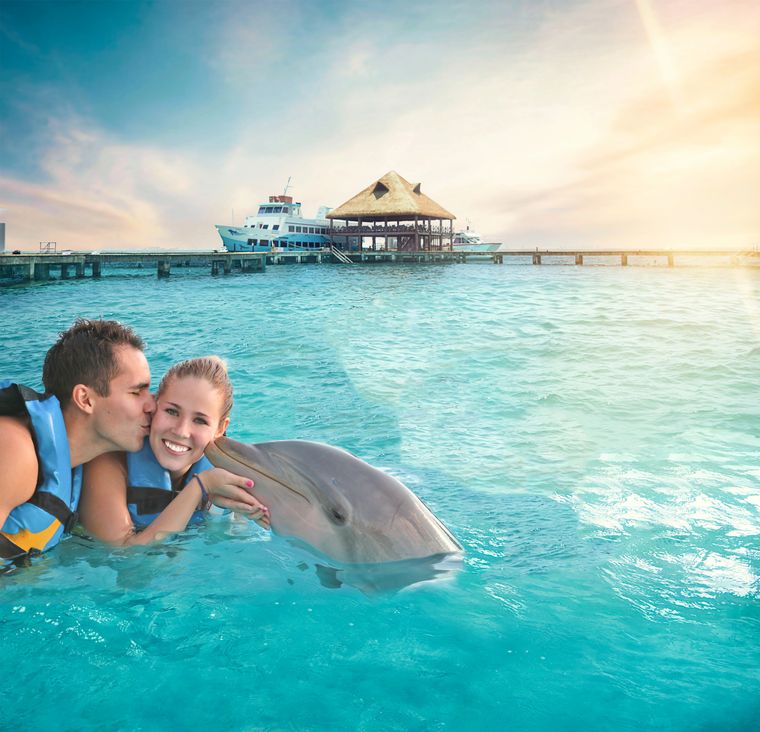 Isla Mujeres: Dolphin Royal Connection