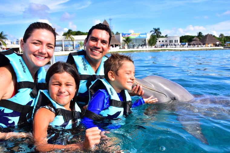 Cozumel: Dolphin Connection — delfines, esnórquel y playa