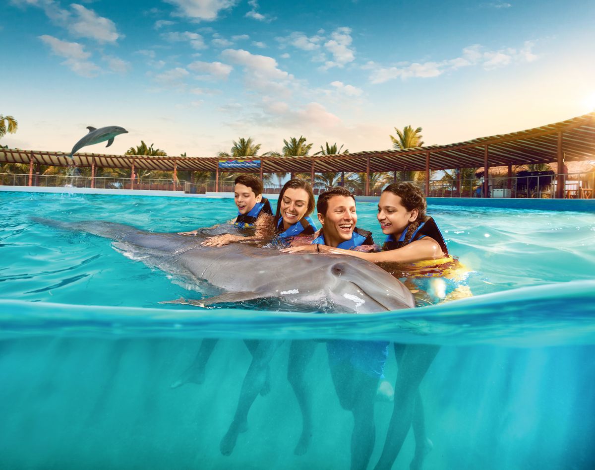 Playa del Carmen Maroma- Dolphin Encounter: nado con delfines en Punta Maroma — 1