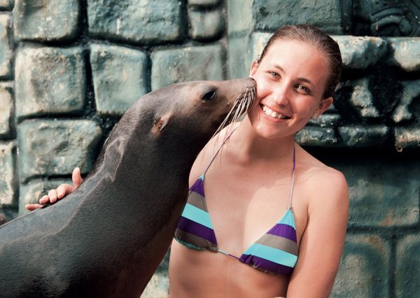 Sea Lion Discovery at Cozumel: interactúa con lobos marinos — 3