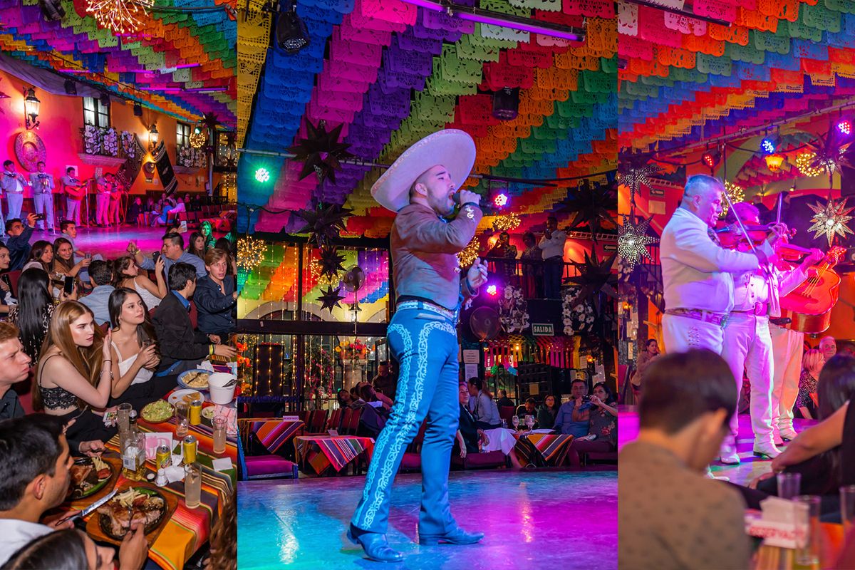 Tour nocturno: mariachis, show en Garibaldi y tacos — 1