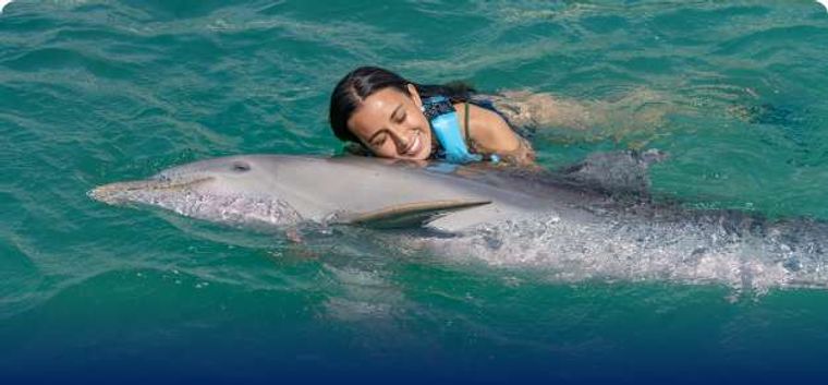 Dolphin Encounter en Isla Mujeres: nado con delfines y playa