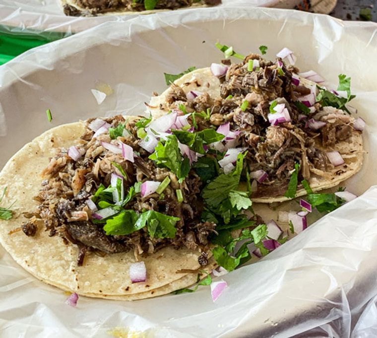 Los Veranos Canopy and Adventure Park: E-Bike Taco Tour