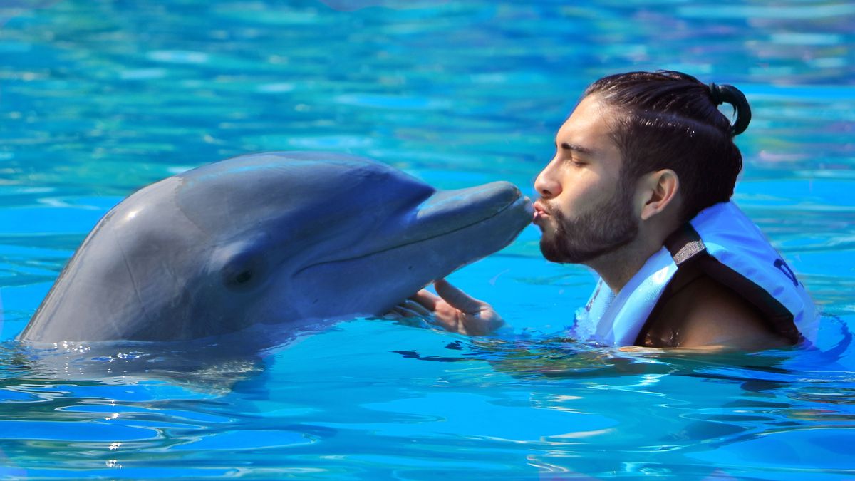 Dolphin Emotions + Parque Acuático: delfines y aventura en Vallarta — 1