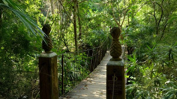 Walk to the Botanical Garden — 2