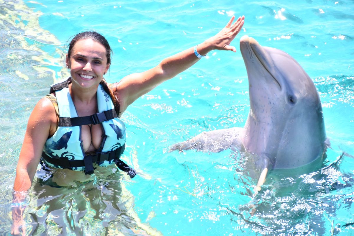 Isla Mujeres: Dolphin Connection — nado con delfines y buffet — 1