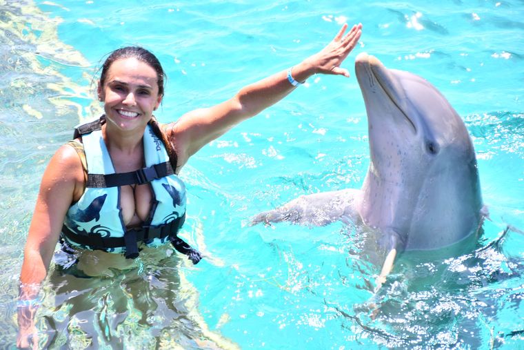Isla Mujeres: Dolphin Connection — nado con delfines y buffet