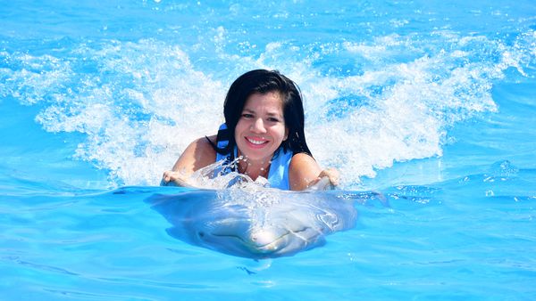 Playa del Carmen Maroma - Dolphin Connection: nado con delfines — 3
