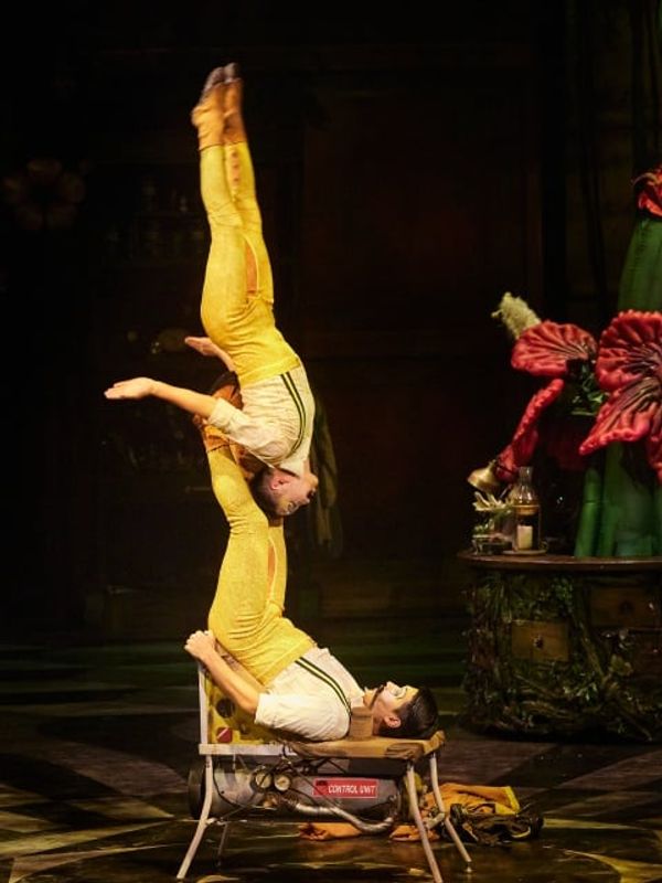 Cirque du Soleil JOYÀ — 5