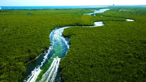 Speed Boat Cancun - Jungle Tour: speedboat & snorkel — 3