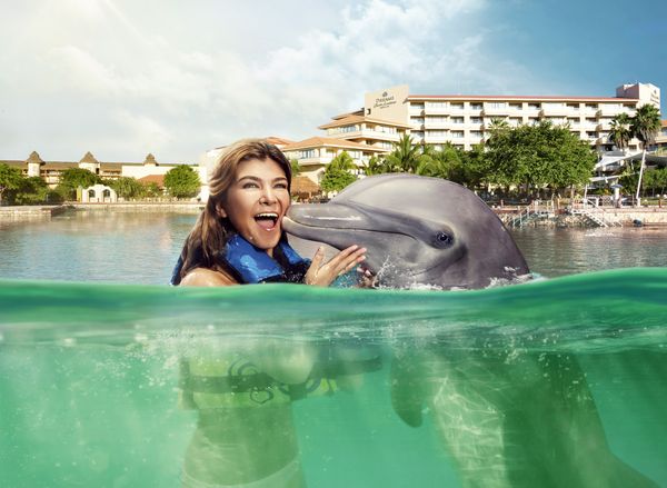 Dolphin Encounter Puerto Aventuras — 2