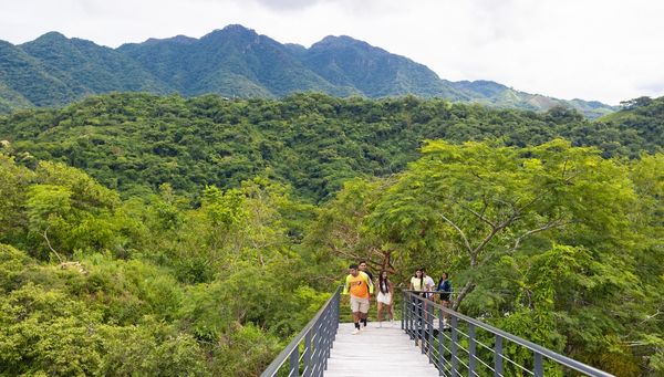 River Park Puerto Vallarta: mirador de cristal y puente colgante — 4