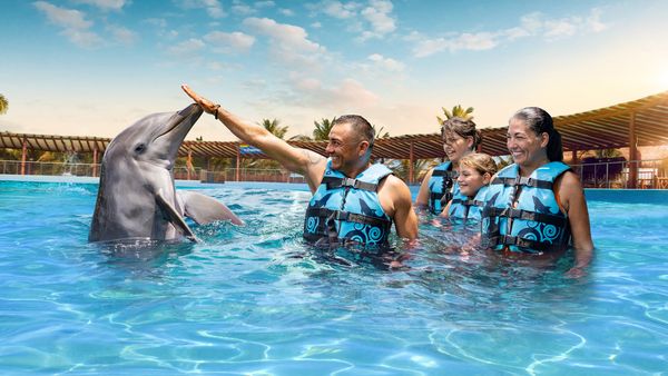 Playa del Carmen Maroma - Dolphin Royal Connection: nada con delfines — 2
