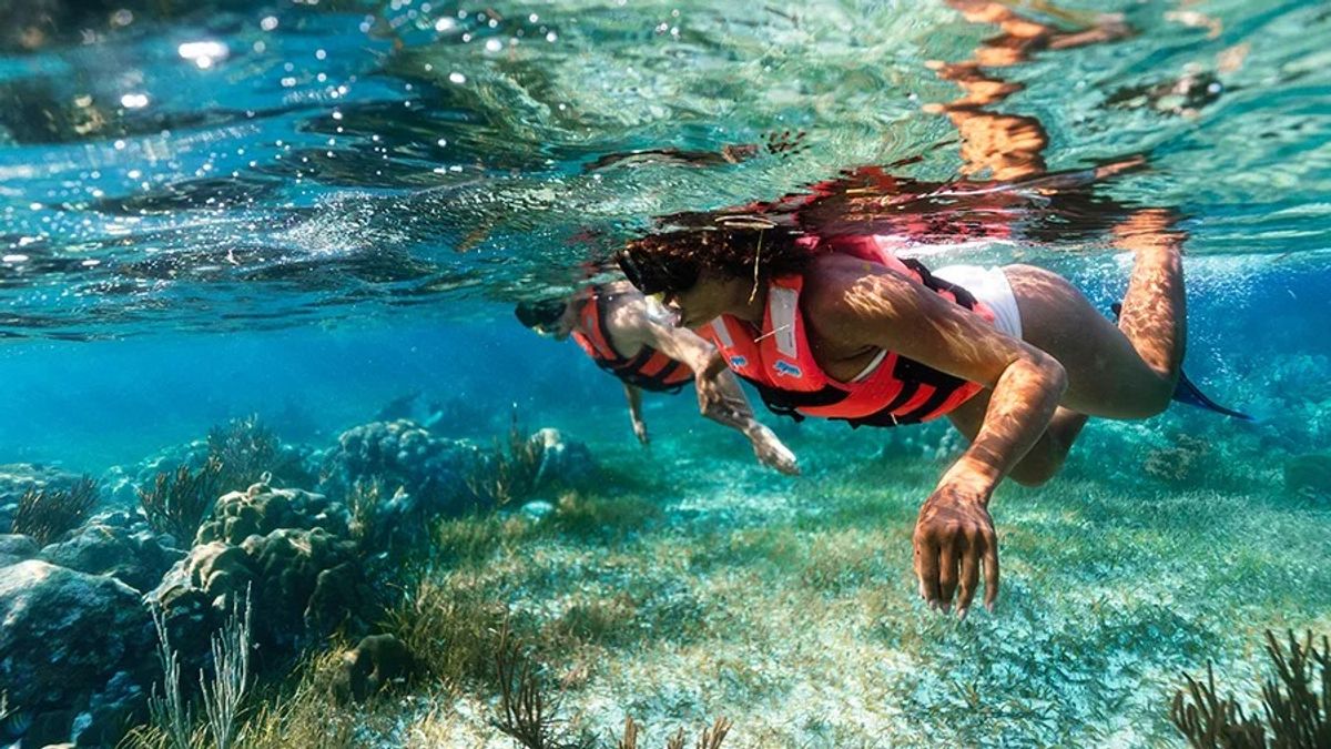 Snorkeling Adventure — 1