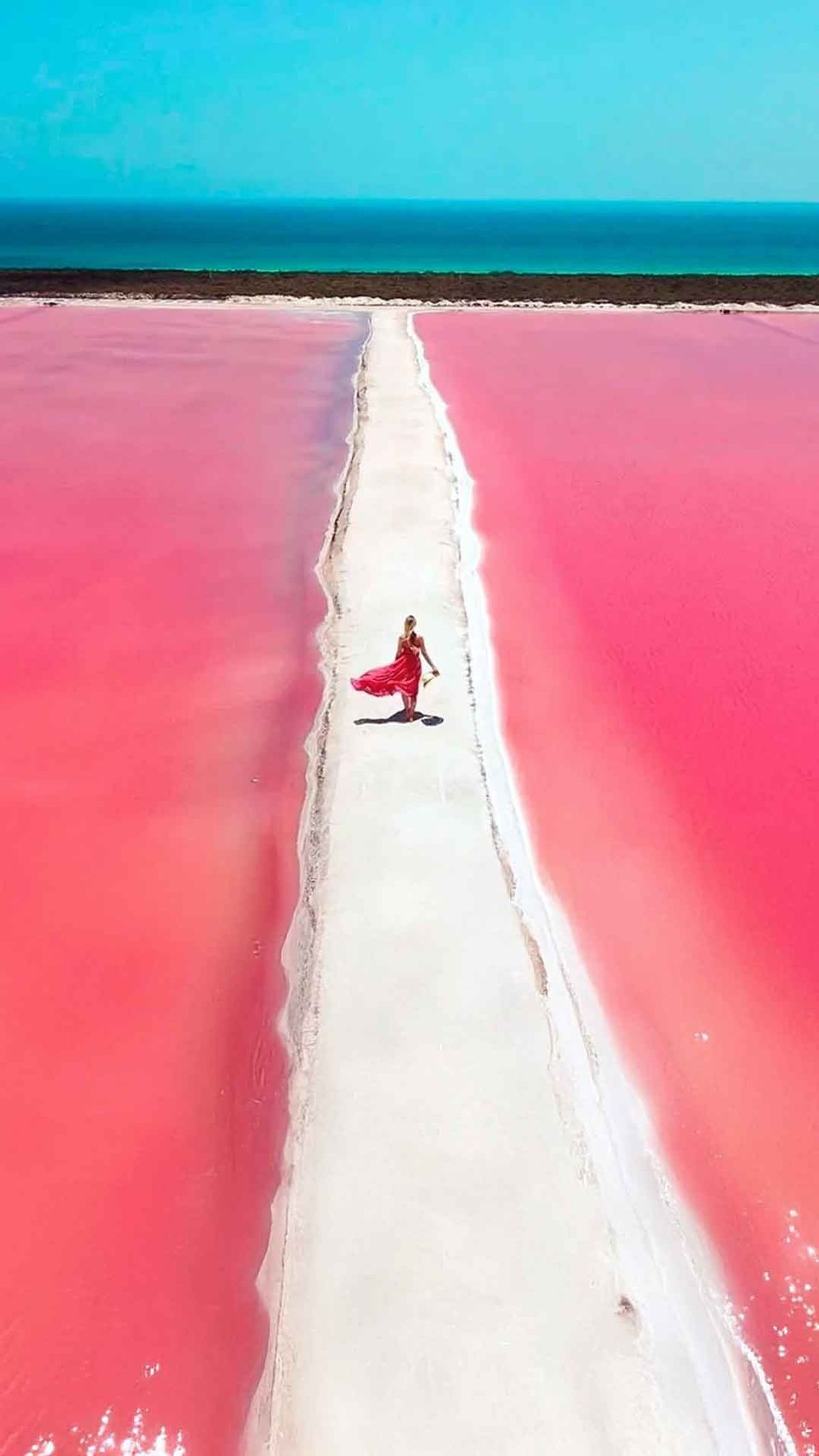 La ruta del Flamingo Tour — 1