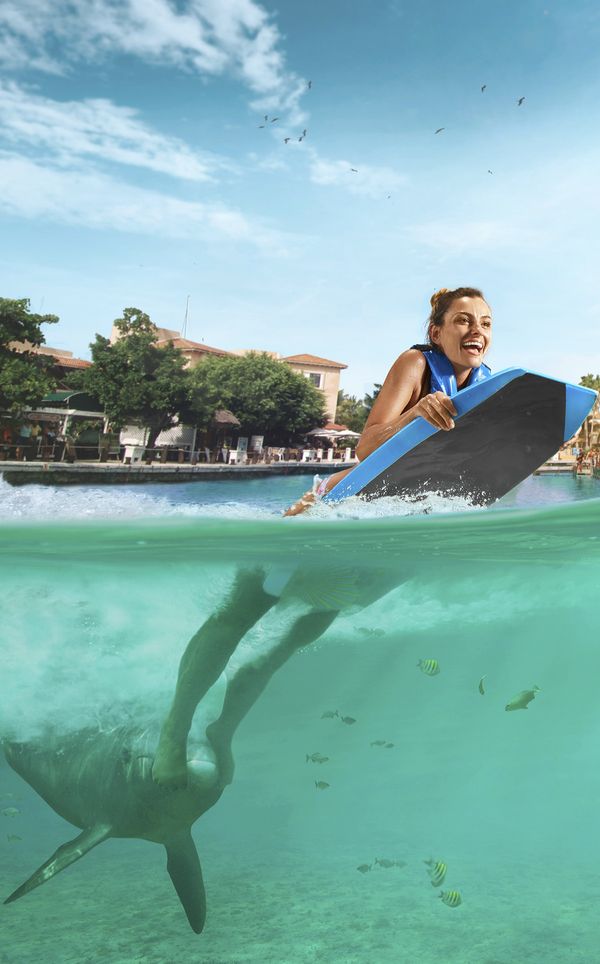 Isla Mujeres: Dolphin Connection — nado con delfines y buffet — 2