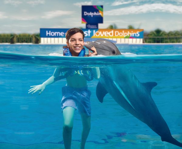 Playa del Carmen Maroma- Dolphin Encounter: nado con delfines en Punta Maroma — 2