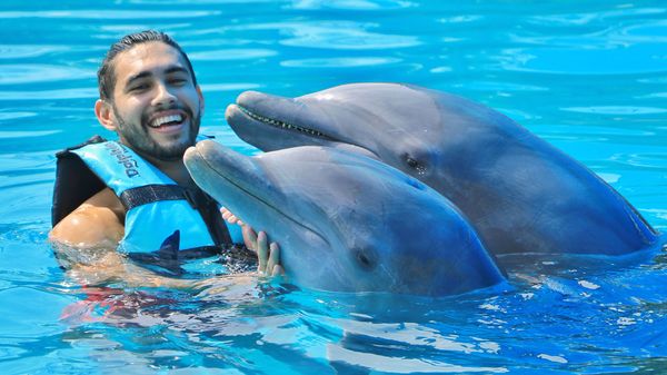 Dolphin Royal Connection: delfines, manatíes y Chankanaab — 3
