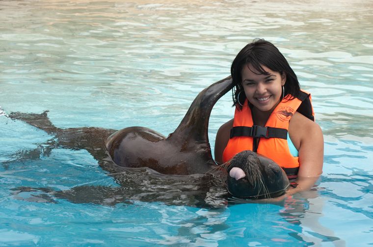 Sea Lion Discovery at Cozumel: interactúa con lobos marinos