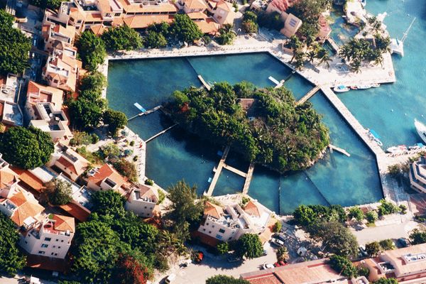 Dolphin Connection: nado con delfines en Puerto Aventuras — 5