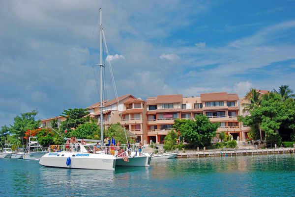 Dolphin Connection: nado con delfines en Puerto Aventuras — 4