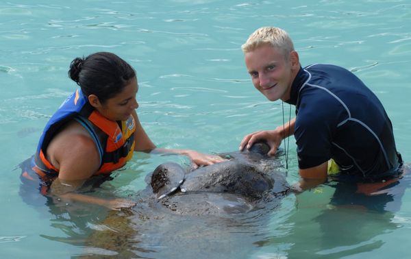 Manatee Encounter en Isla Mujeres: nada y convive con manatíes — 3