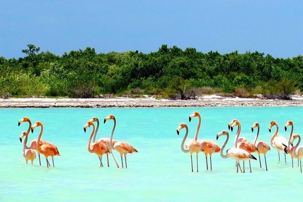 Holbox Tour — 2