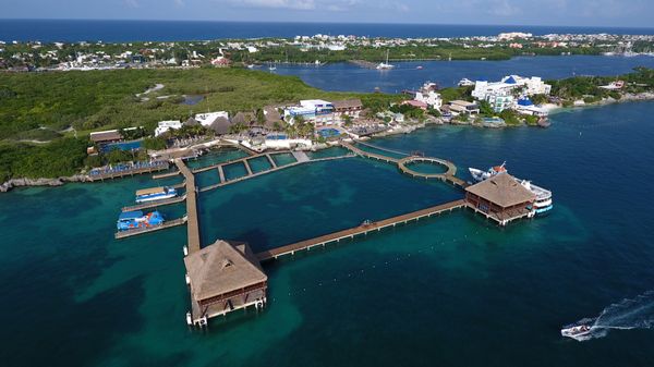 Isla Mujeres: Dolphin Royal Connection — 3