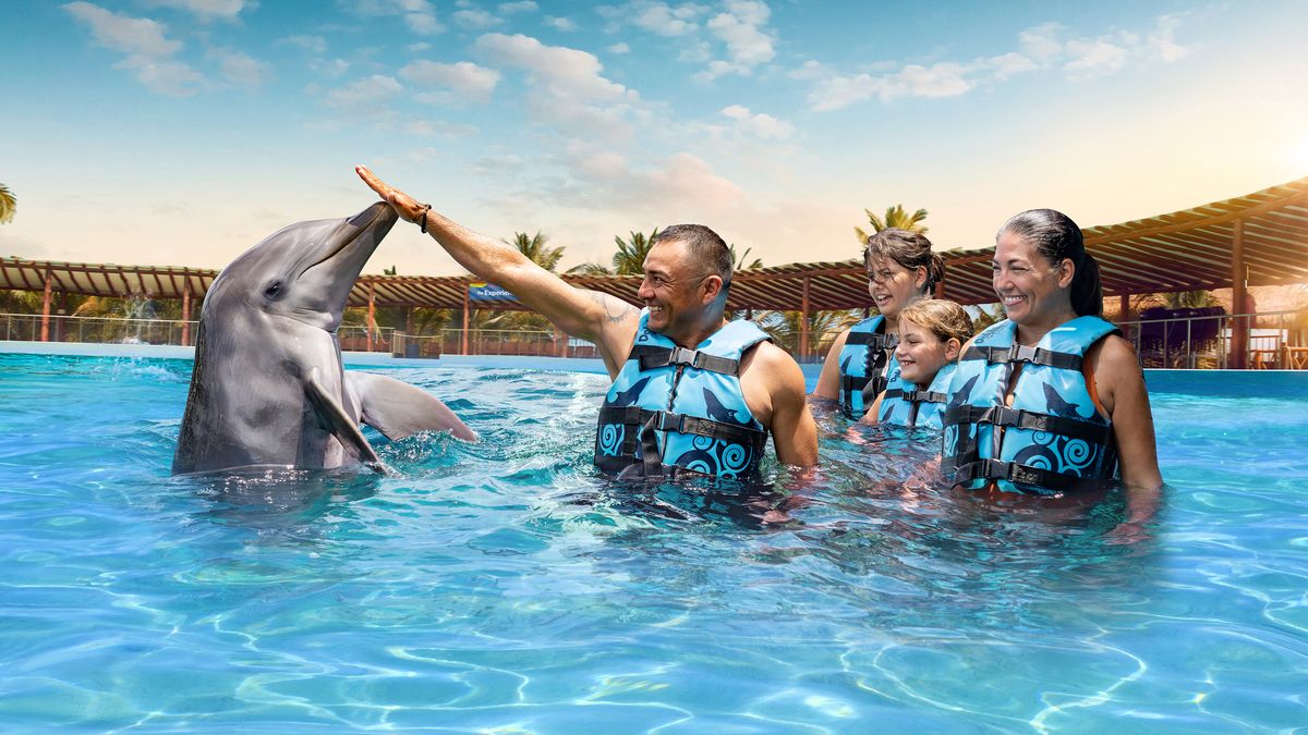 Playa del Carmen Maroma - Dolphin Royal Connection: nada con delfines — 1