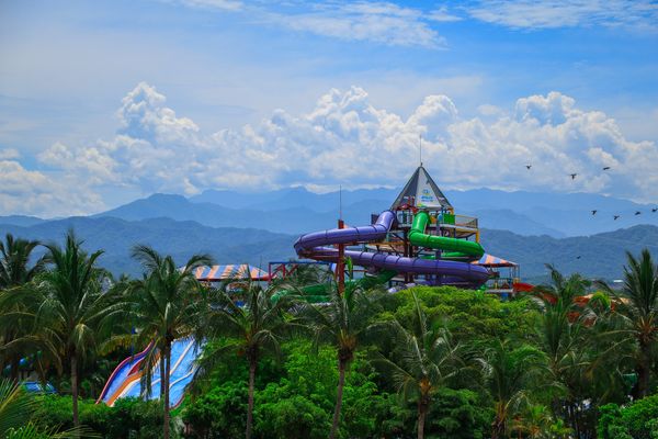 Encuentro con Delfines + Parque Acuático en Puerto Vallarta — 5