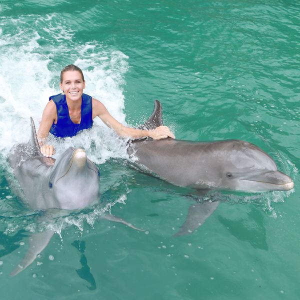 Dolphin Royal Connection Puerto Aventuras — 2