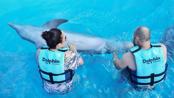 Dolphin Royal Connection: delfines, manatíes y Chankanaab — 2
