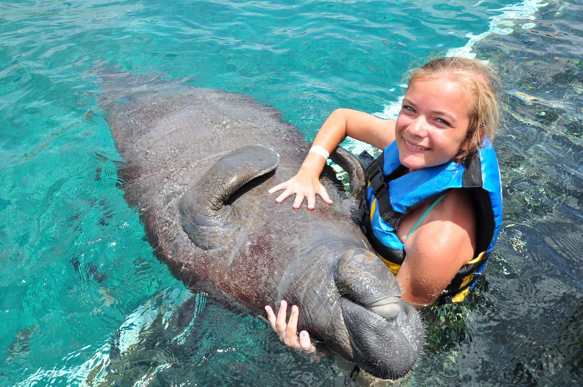 Manatee Encounter en Cozumel: nado con manatíes y Parque Chankanaab — 1