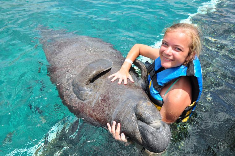 Manatee Encounter en Cozumel: nado con manatíes y Parque Chankanaab